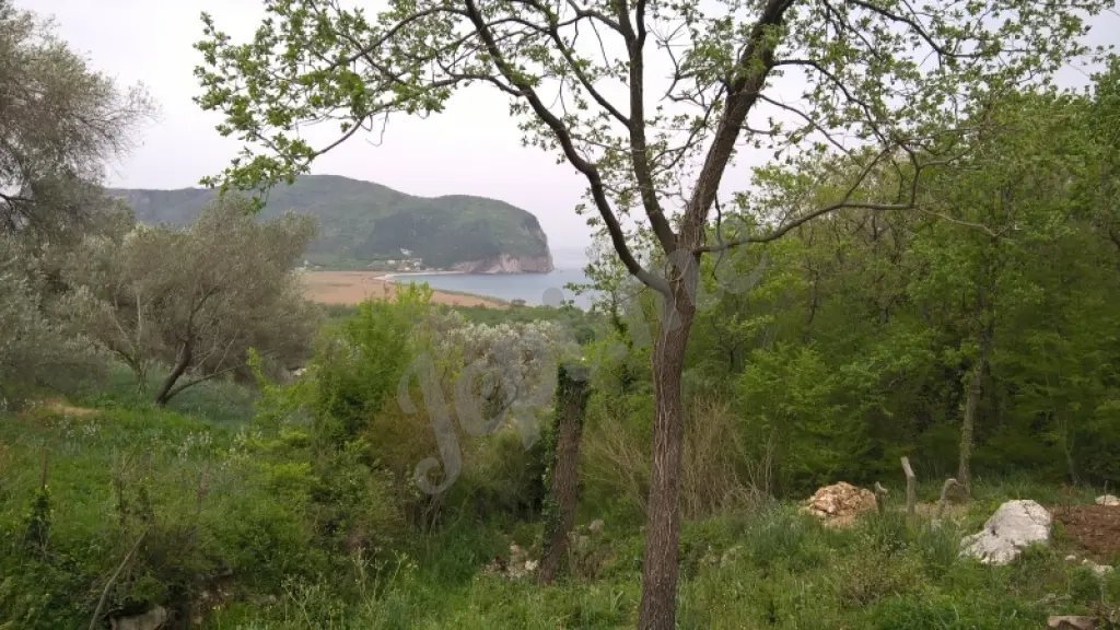 Prodajem plac u Buljarici